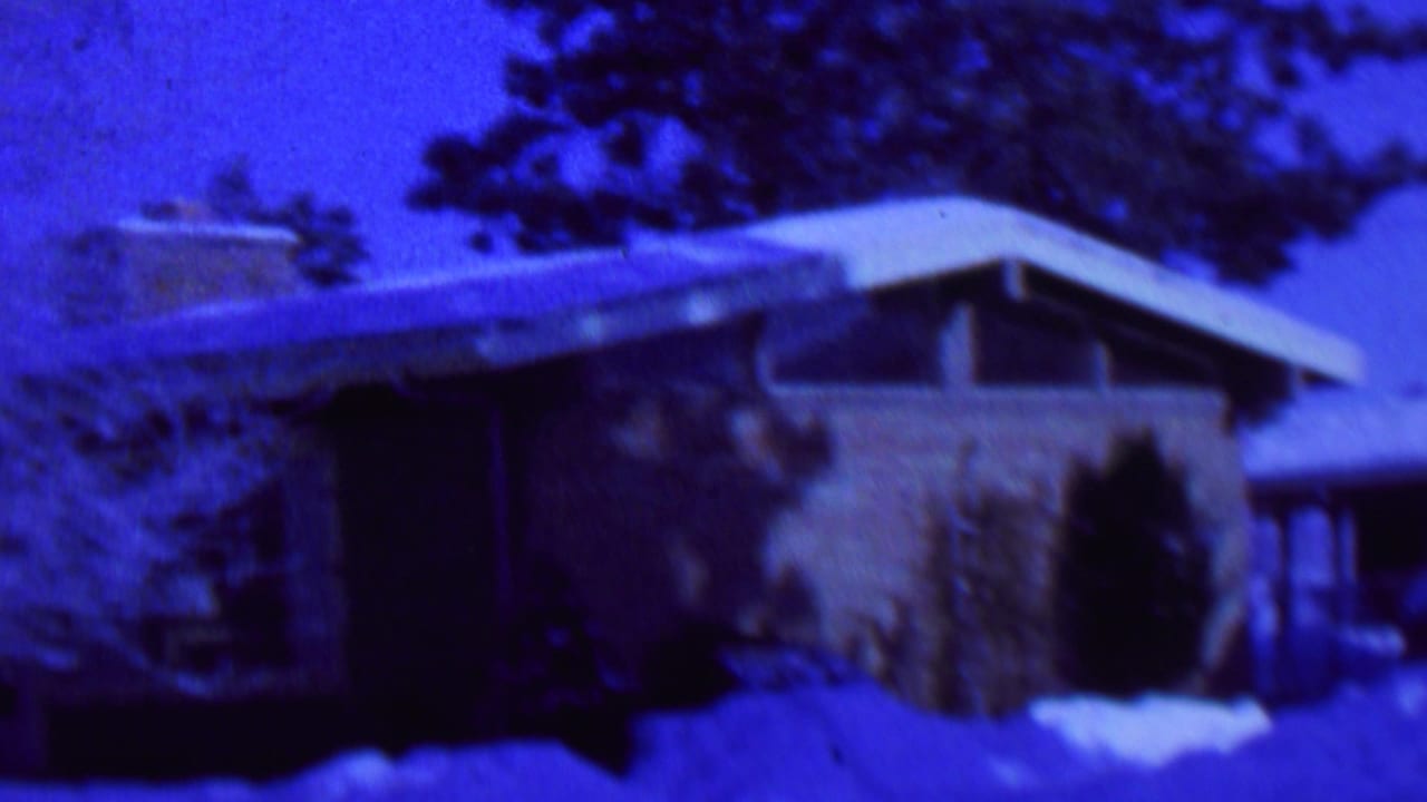 Snowy house exterior with sloped roof, brick wall, trees, shrubs, and a garage or carport area at right.
