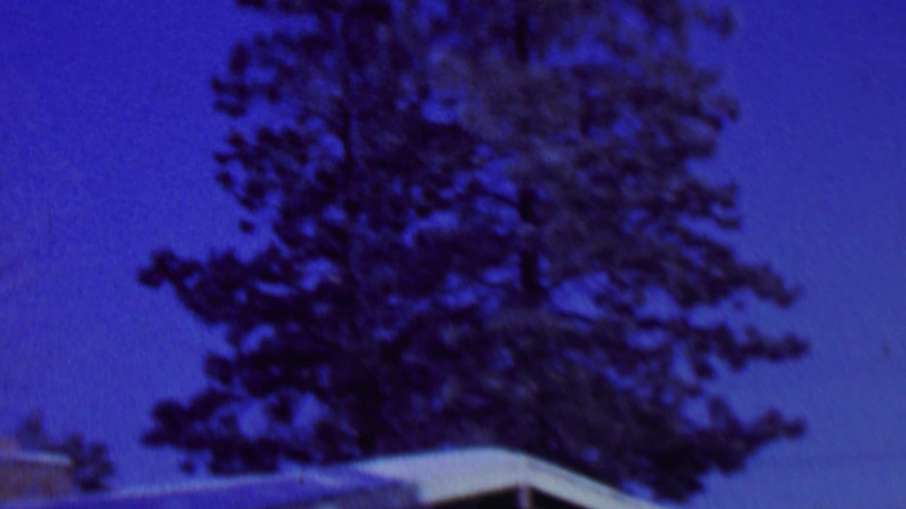 1962 St. Paul home-movie frame showing dark evergreen branches against a deep blue sky with a partial residential roofline at the lower edge.