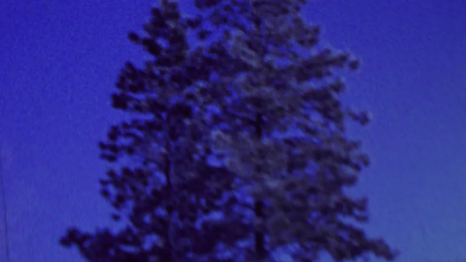 1962 St. Paul home-movie frame showing an evergreen tree rising through the lower portion of the frame against a blue sky.