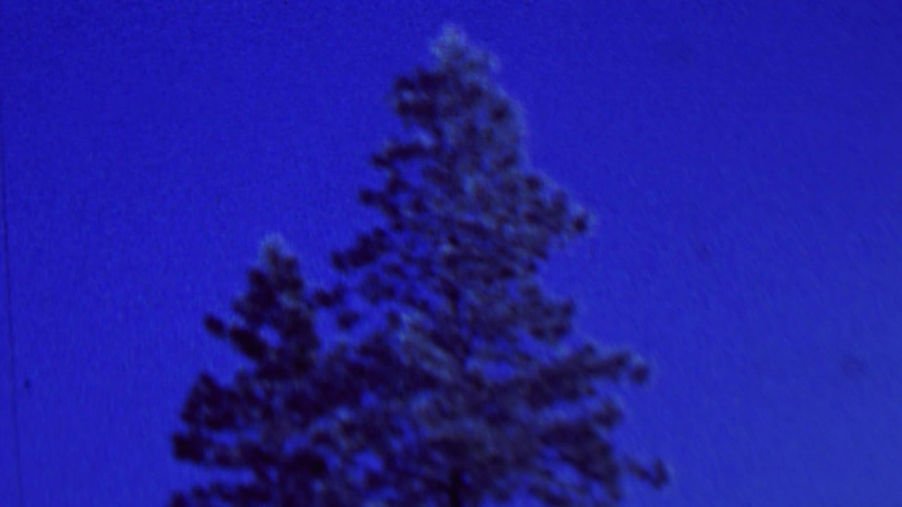 Dark evergreen tops appear against a saturated blue sky in the outdoor winter portion of the 8mm home movie.