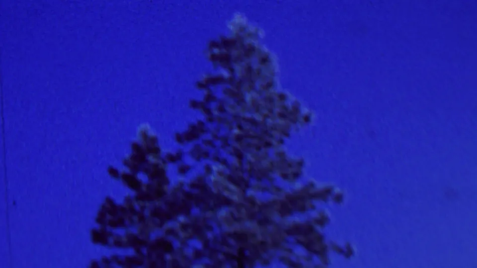 Dark evergreen tops appear against a saturated blue sky in the outdoor winter portion of the 8mm home movie.
