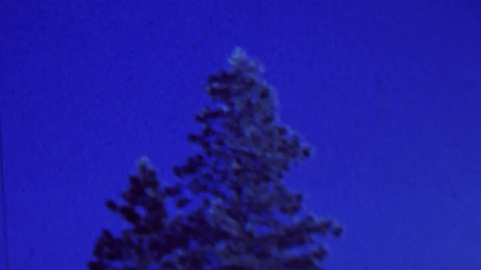 A snow-dusted evergreen fills the frame against a vivid blue sky, consistent with the clip's winter home-movie setting.