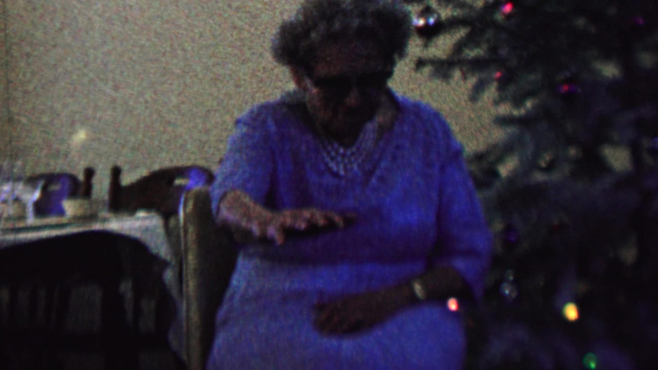Woman reaches her hand toward a dark dog beside a decorated Christmas tree.