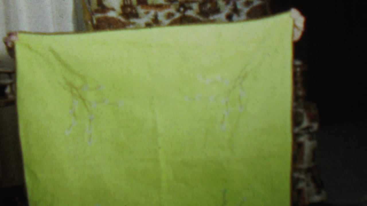A bright green sheet is held across a living room interior, with a patterned chair and curtains visible in this 1962 home-movie frame.