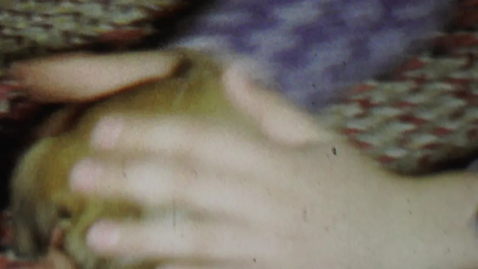 A person's hand gently touches the small brown puppy while another arm in a purple sleeve is visible above the braided rug.