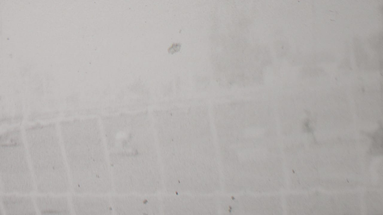 Soft, overexposed 8mm frame from the supplied 1937 Trenton racing clip, showing faint trackside forms and fence lines with little distinct detail.