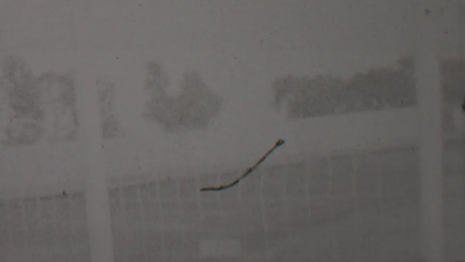 A pale, overexposed view of the dirt track and protective netting includes a prominent dark scratch across the film image.