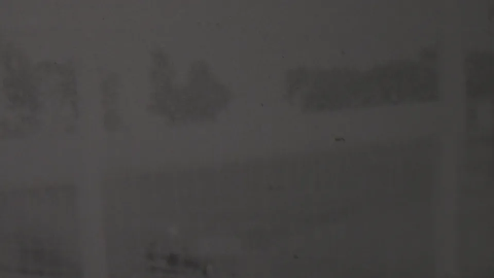 Grainy 8mm frame from the Trenton racing clip with a heavily obscured outdoor track view and blurred dark forms that may relate to the moving kart or background vegetation.