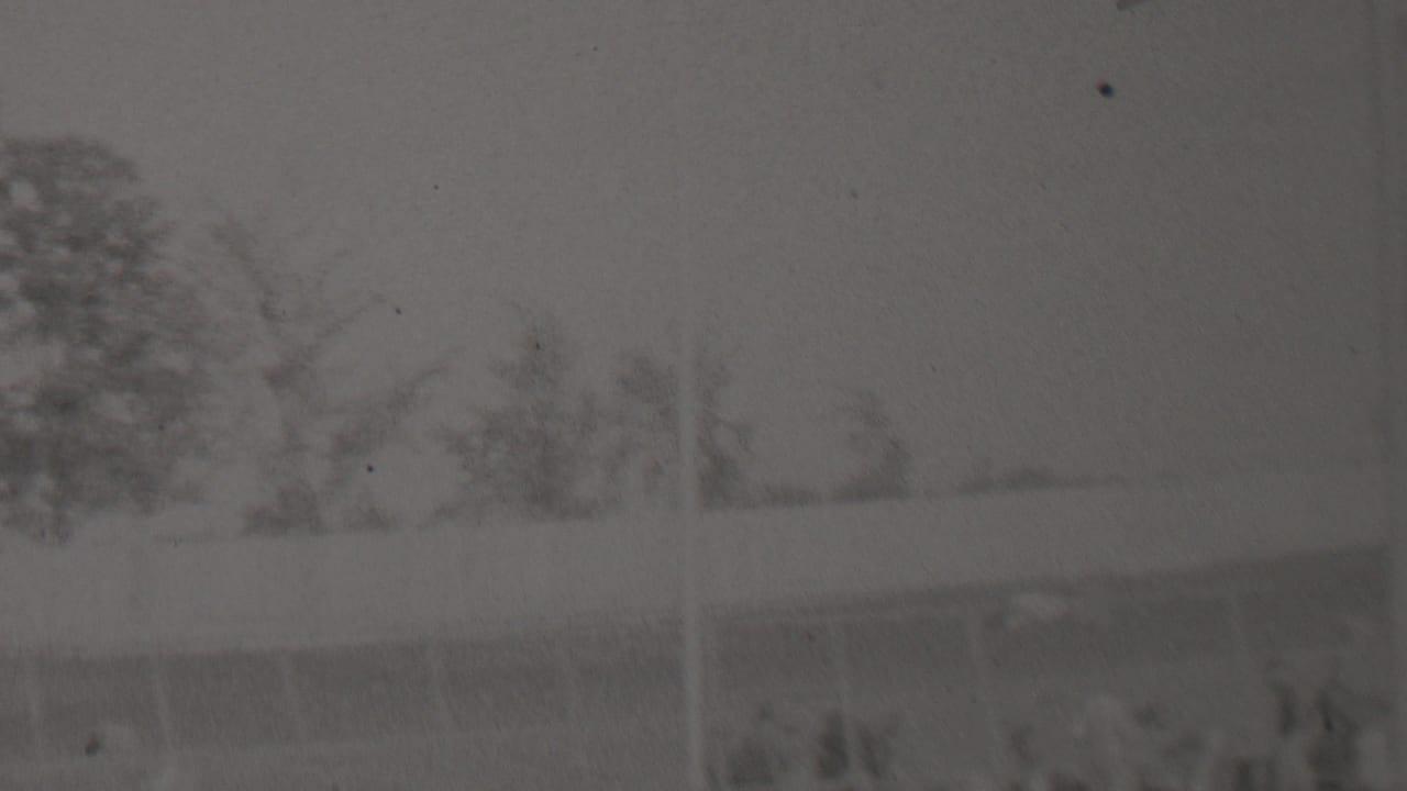 Blurred black-and-white frame from the supplied Trenton racing clip, with trees behind a pale horizontal rail or barrier in an outdoor track setting.