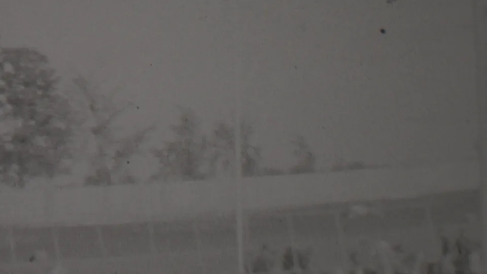 Blurred black-and-white frame from the supplied Trenton racing clip, with trees behind a pale horizontal rail or barrier in an outdoor track setting.