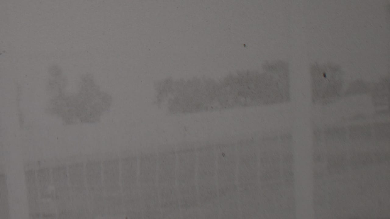 Blurred outdoor view with a pale vertical band, faint structures, trees, and scattered film marks.
