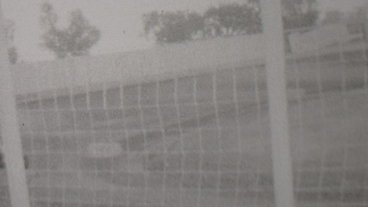 Soft black-and-white view of track fencing, trees, and an overexposed structure or barrier.