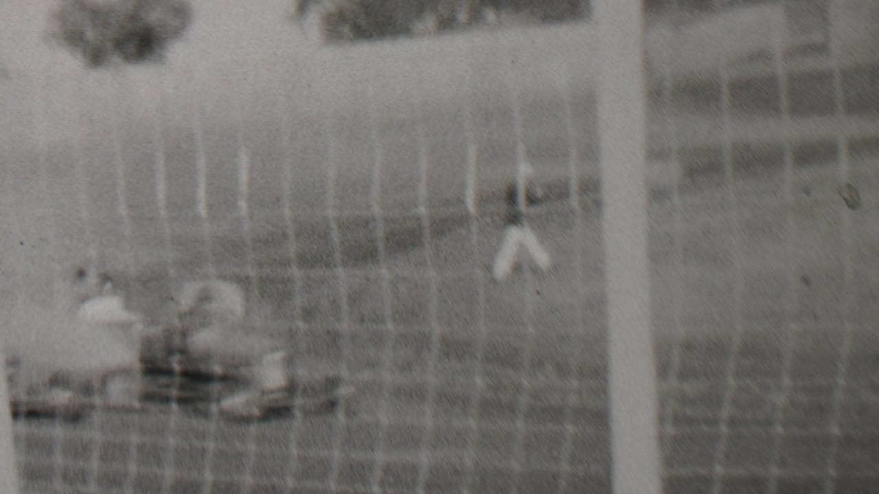Blurred race-track view through chain-link fencing with a distant person and trackside objects.