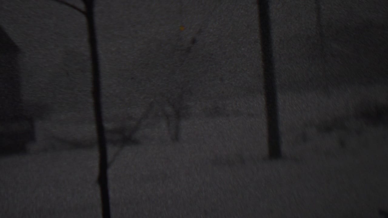 Black-and-white 8mm frame from the Trenton winter scene, with tree trunks crossing a snowy yard and a dim small structure in the background.