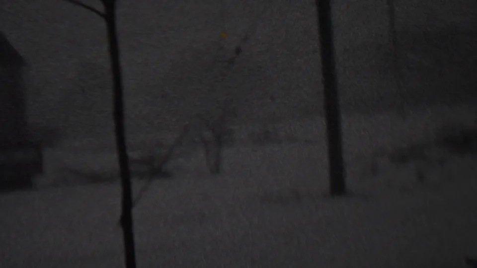 Black-and-white 8mm frame from the Trenton winter scene, with tree trunks crossing a snowy yard and a dim small structure in the background.