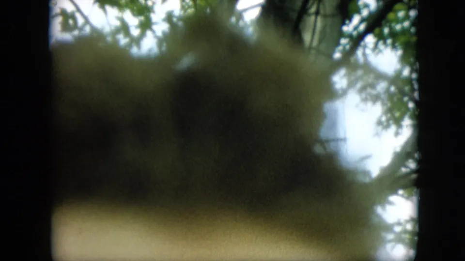 Soft-focused 1957 Pennsylvania 8mm frame with an indistinct brown foreground shape and leafy trees against bright sky.