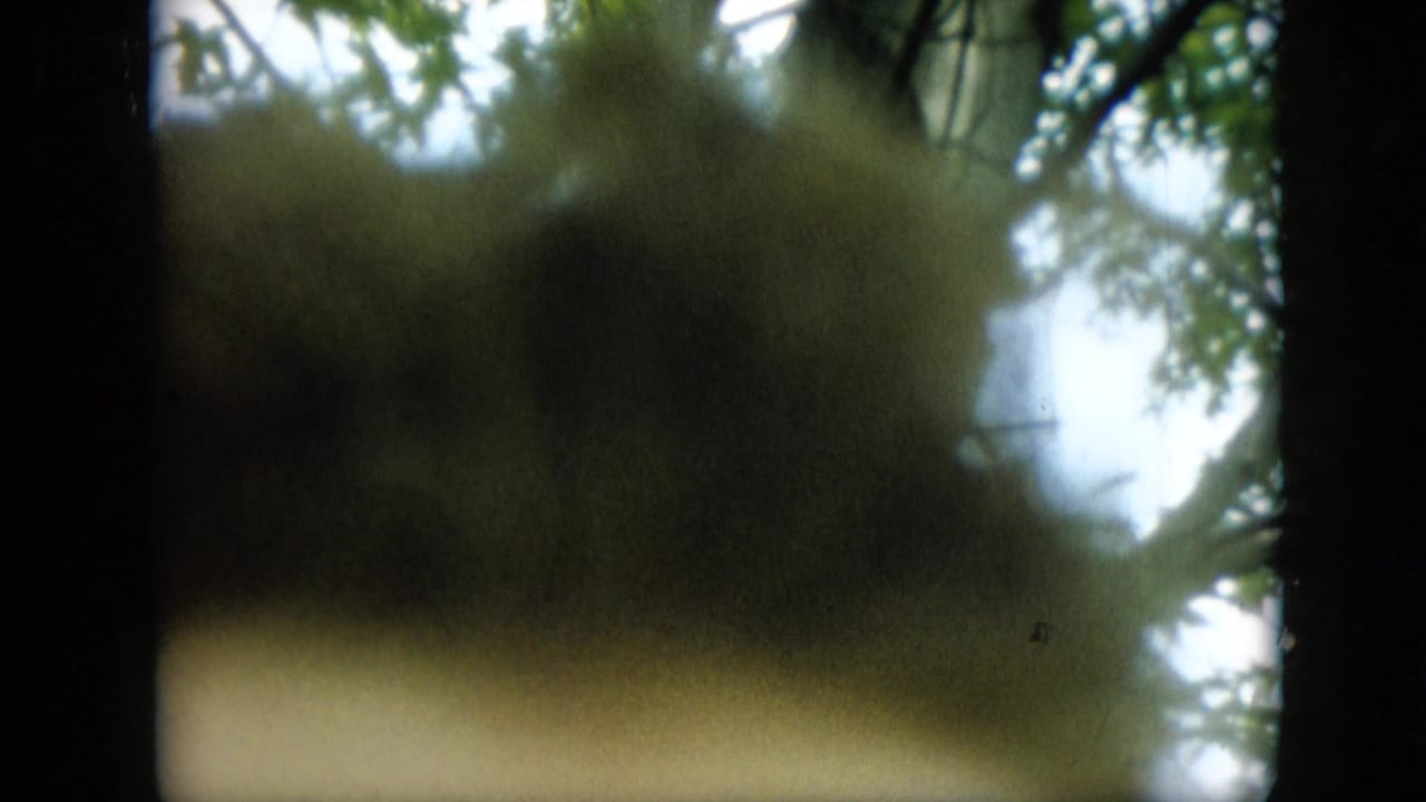 Obscured 1957 Pennsylvania 8mm home-movie frame with leafy branches, bright sky, and heavy gate shadowing around the edges.