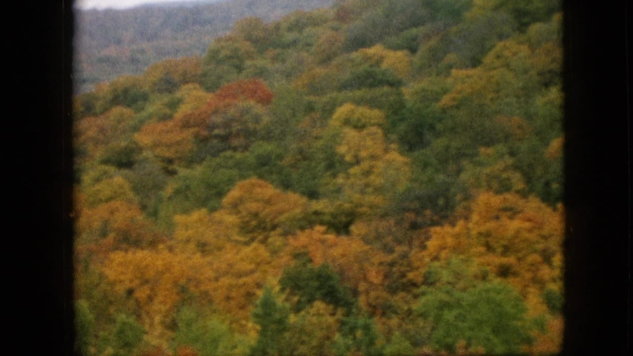 1957 Pennsylvania 8mm frame with a dense autumn forest on rolling terrain, bordered by dark vertical film or window-like edges.