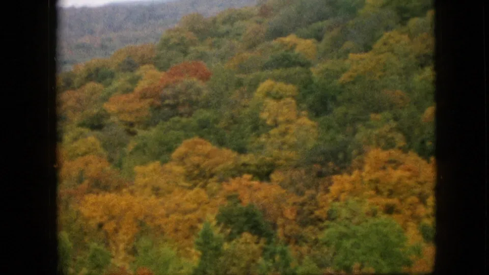 1957 Pennsylvania 8mm frame with a dense autumn forest on rolling terrain, bordered by dark vertical film or window-like edges.