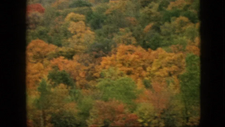 1957 Pennsylvania 8mm frame showing a softly blurred view of autumn trees across a rolling wooded slope, with orange and green foliage dominant.