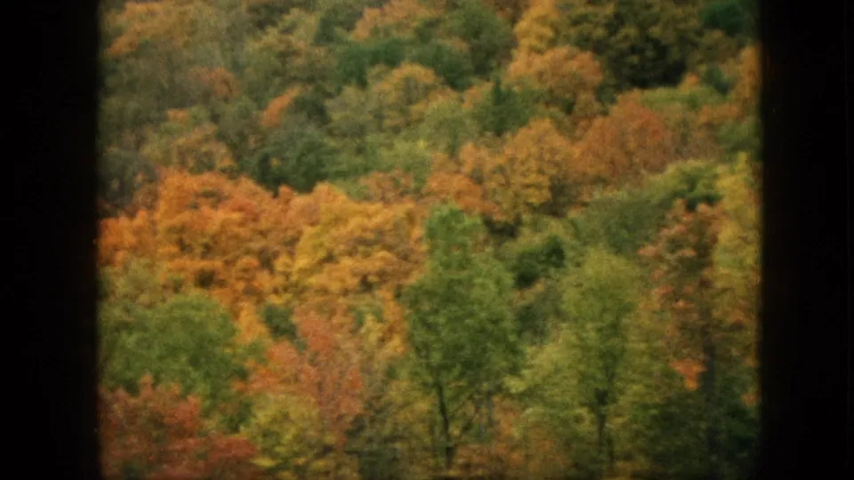 1957 Pennsylvania 8mm frame looking over a wooded hillside in autumn color, with green foreground trees and orange-yellow foliage beyond.