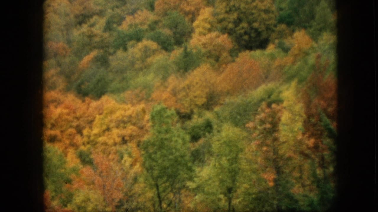 1957 Pennsylvania 8mm frame showing a softly focused wooded mountain slope with orange, yellow, and green fall foliage viewed through dark window-frame edges.