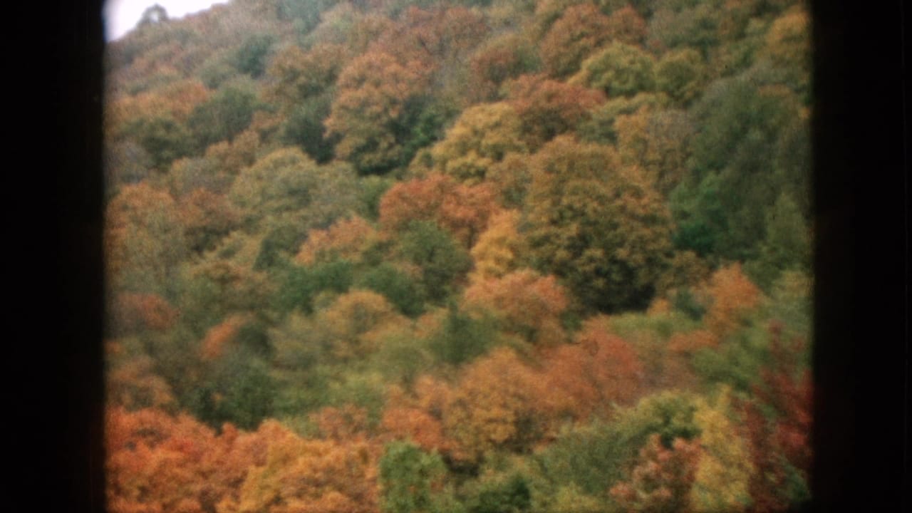 1957 Pennsylvania home-movie frame of dense autumn forest on a mountain slope, with muted orange and green tree cover and a dark window-frame border in the foreground.