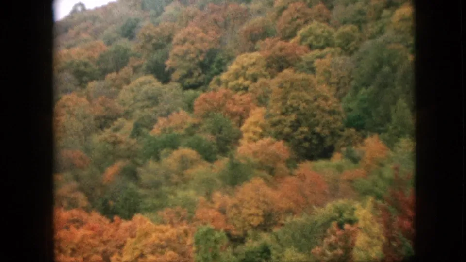 1957 Pennsylvania home-movie frame of dense autumn forest on a mountain slope, with muted orange and green tree cover and a dark window-frame border in the foreground.