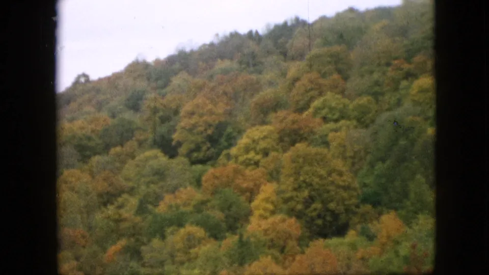 1957 Pennsylvania 8mm still showing a softly blurred hillside forest with mixed green, gold, and rust-colored fall trees beneath a pale overcast sky.