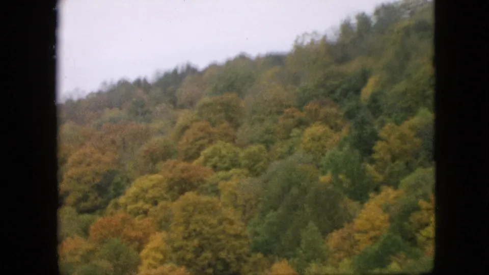 1957 Pennsylvania home-movie frame with a dark vertical window-frame edge beside a softly focused mountain forest in muted autumn greens, yellows, and browns.