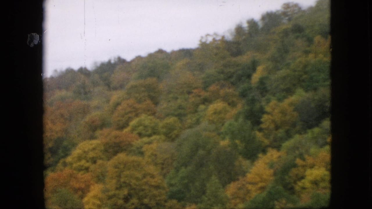 1957 Pennsylvania home-movie frame showing a softly focused wooded hillside with green, yellow, and orange-brown trees beneath a pale sky.