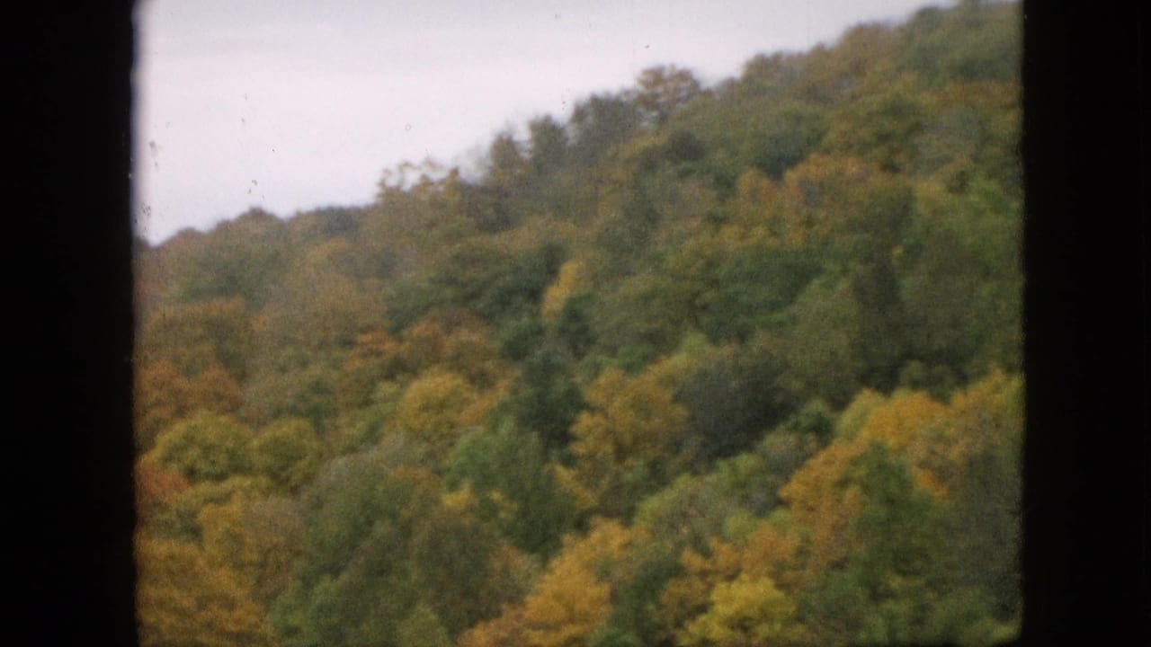 Soft 8mm frame of a Pennsylvania hillside forest in 1957, with dense trees shifting from green toward yellow and orange tones.