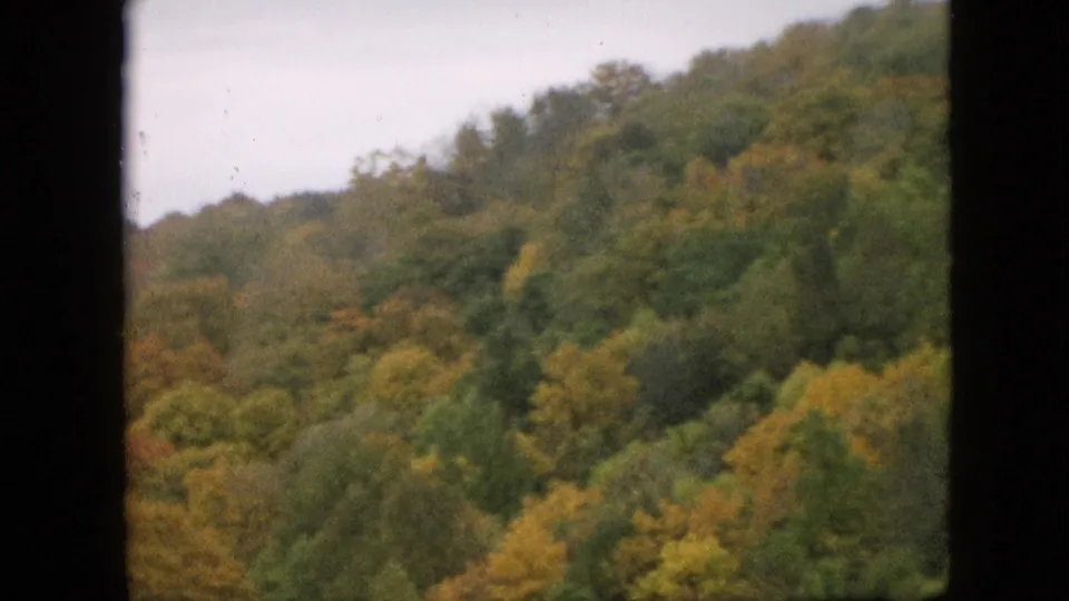 Soft 8mm frame of a Pennsylvania hillside forest in 1957, with dense trees shifting from green toward yellow and orange tones.