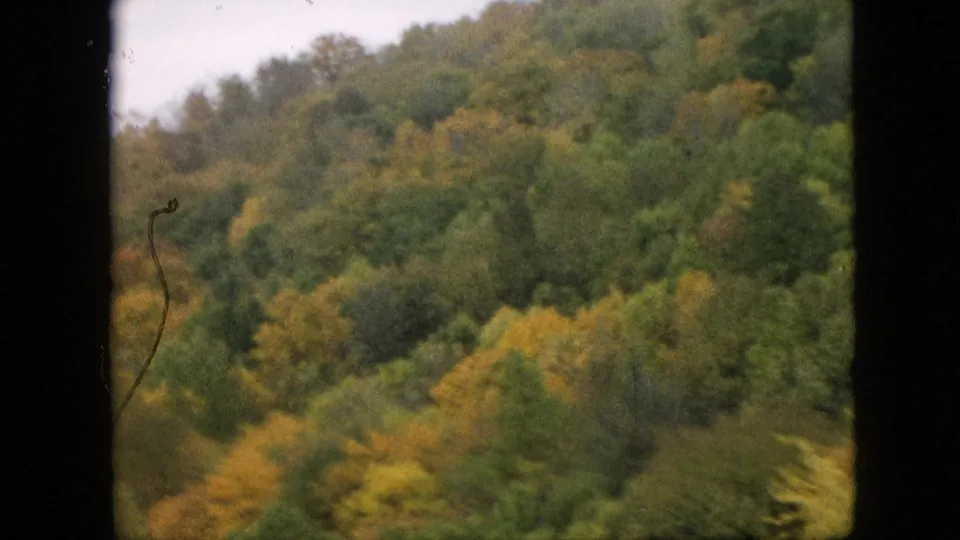 1957 Pennsylvania 8mm home-movie view of a softly blurred hillside forest, with early fall color scattered through the tree canopy.