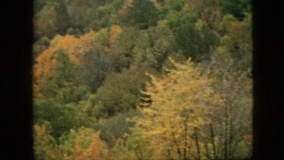 Final frame from the 1957 Pennsylvania clip showing a wooded hillside with green, gold, and orange-brown foliage framed by dark 8mm borders.