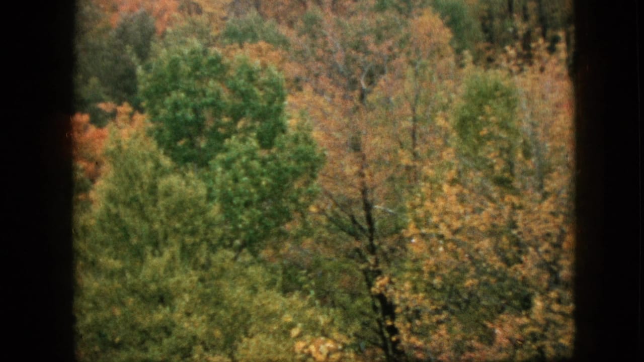 1957 Pennsylvania 8mm home-movie frame showing mixed fall trees in orange, yellow, and green tones seen through a dark window frame.