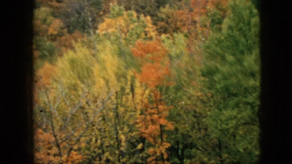 1957 Pennsylvania home-movie still showing lower autumn trees and brush in yellow, orange, and green tones behind a dark window divider.