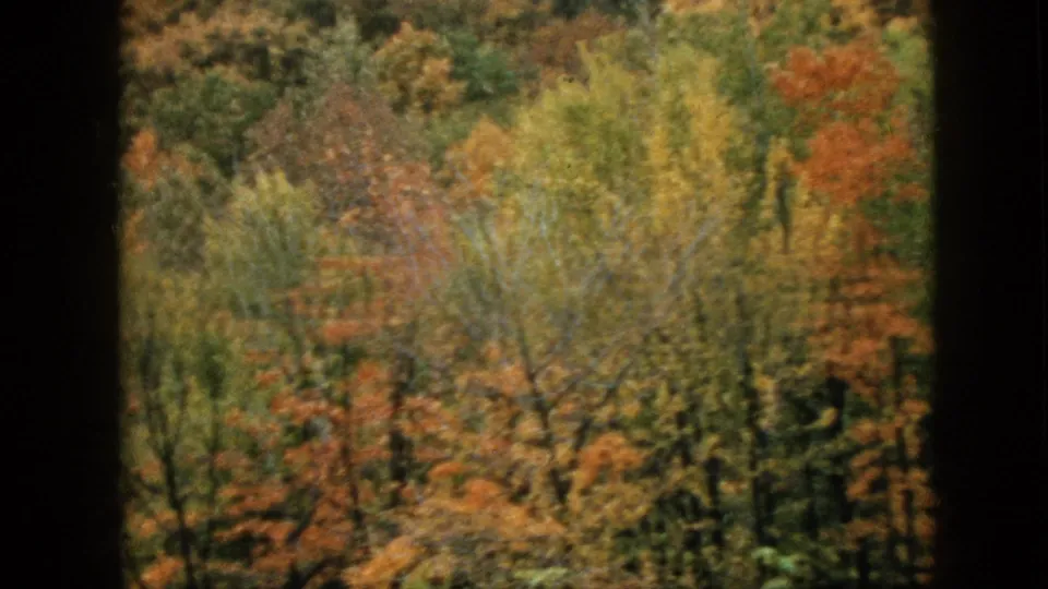 1957 Pennsylvania 8mm still showing an autumn forest view framed by dark window bars, with layered green, yellow, and orange trees.