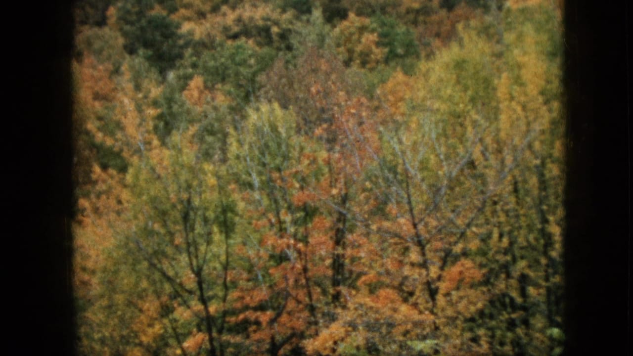 1957 Pennsylvania 8mm frame showing dense autumn trees in green, gold, orange, and rust tones, partially obscured by a dark vertical window or frame border.