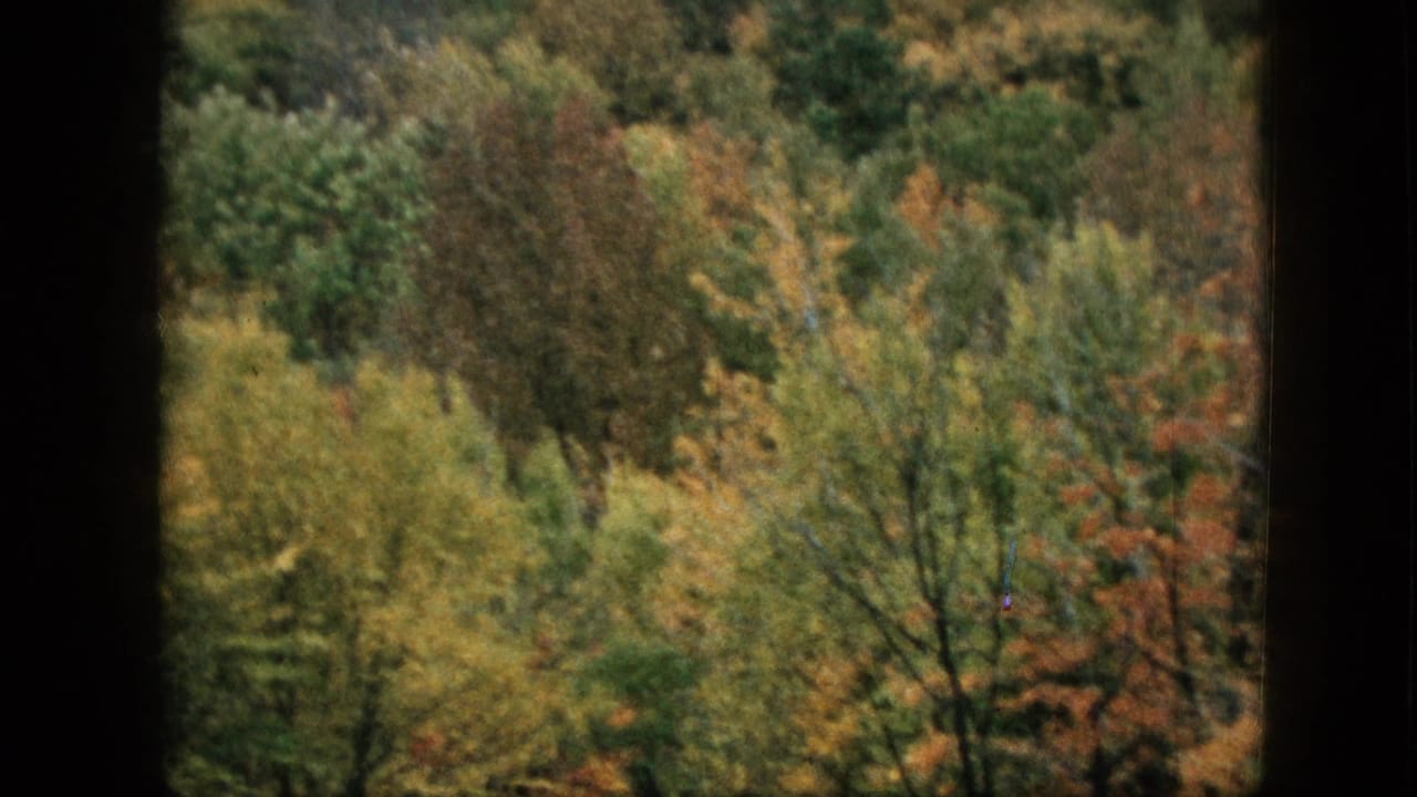 1957 Pennsylvania home-movie still of a wooded hillside in autumn colors, divided by a dark foreground frame or window edge.
