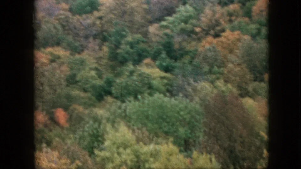 1957 Pennsylvania 8mm frame showing a softer, lower view across mixed green and orange fall trees on a wooded slope.
