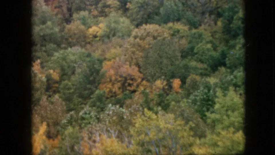 1957 Pennsylvania home-movie frame showing dense autumn woodland, with mixed green, yellow, and orange trees filling the view inside rounded 8mm frame edges.