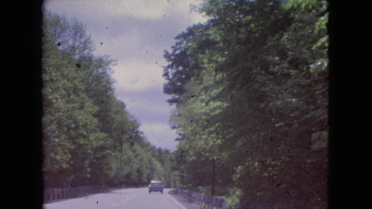 Wooded roadway with a car ahead and guardrail along the right side.