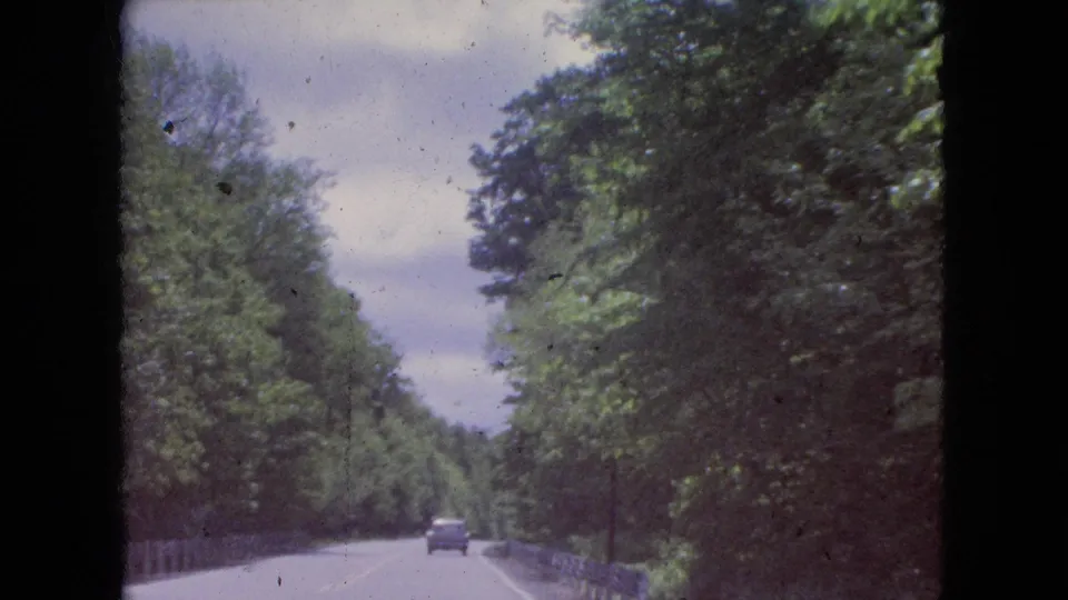1964 8mm travel frame showing a vehicle ahead on a tree-lined road in the Niagara Falls, New York area, with a guardrail and overcast sky visible.