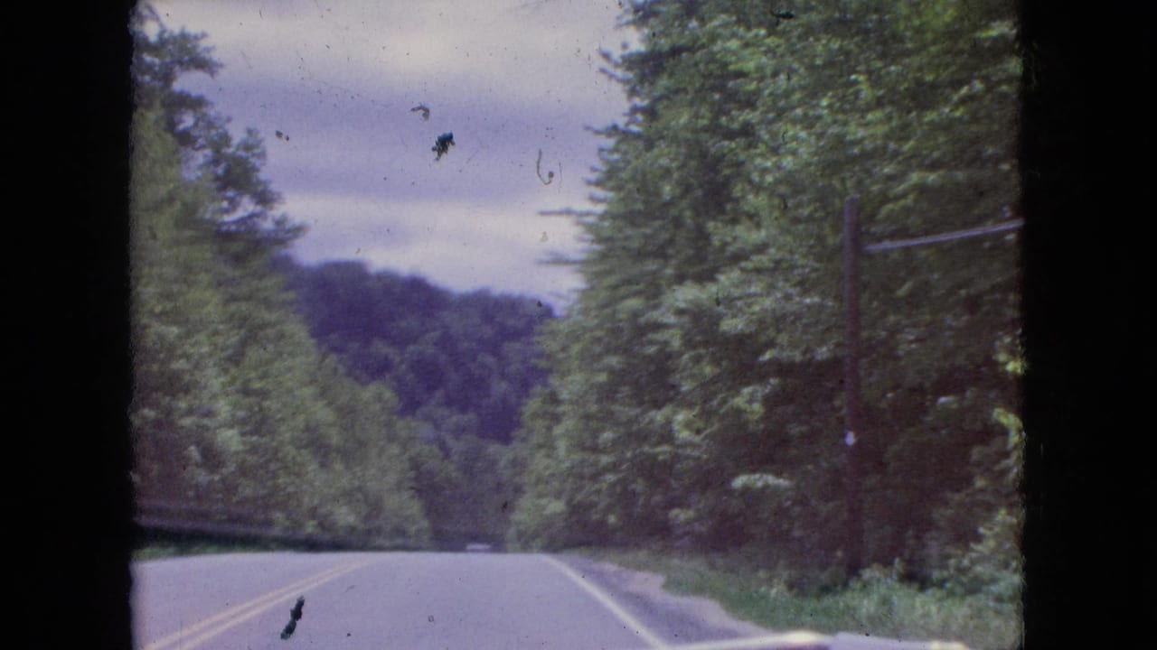 1964 8mm frame of a gently curving forest road in the Niagara Falls, New York area, with utility poles and dense trees lining the right side.