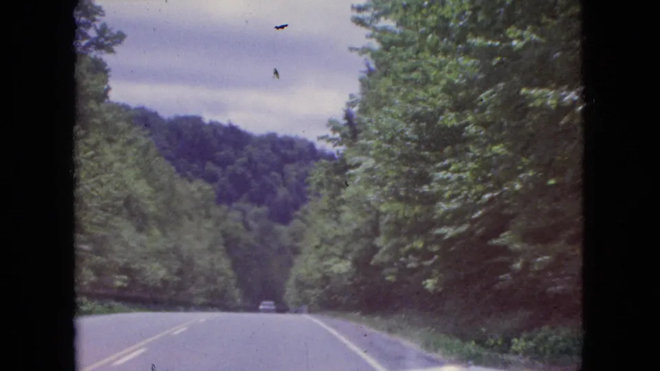 1964 8mm home-movie frame showing a straight wooded highway near Niagara Falls, New York, with a small vehicle visible far ahead on the road.