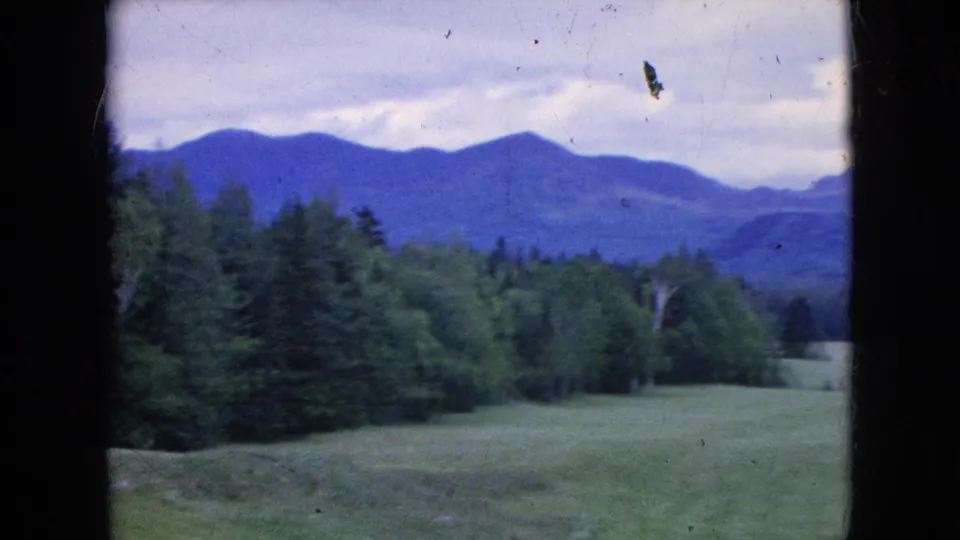Landscape view from the 1964 home-movie clip showing an open grassy field, dark tree line, and layered hills near the Niagara Falls, New York area under cloudy light.