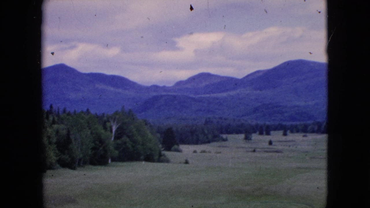 Open green landscape with trees at left and blue mountains in the distance.