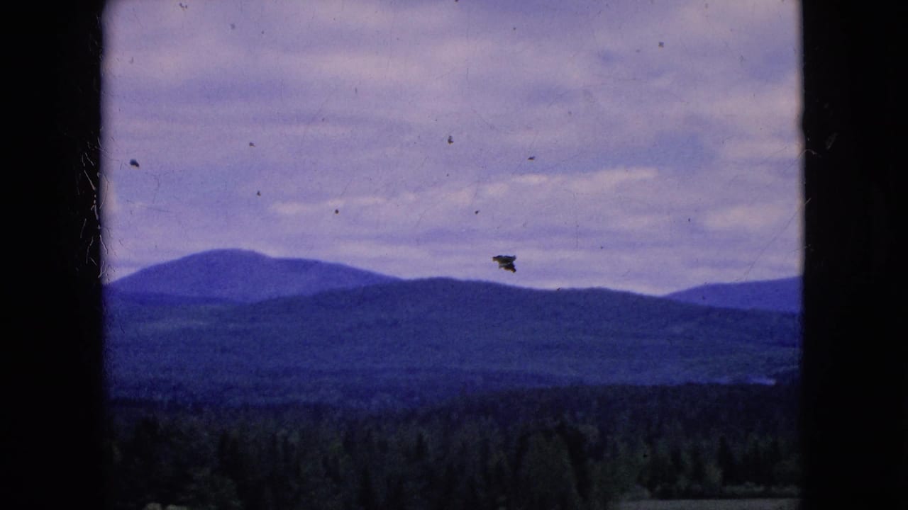1964 8mm home-movie frame, identified by metadata as Niagara Falls, New York, showing a distant wooded low mountain ridge, forest band, open field, and pale cloudy sky.