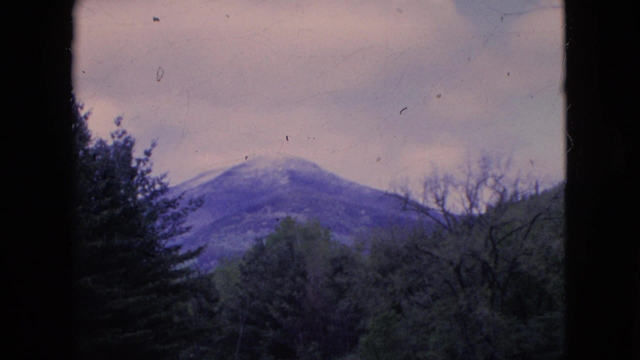 1964 8mm home-movie frame with a rounded mountain peak rising behind dark evergreens, leafless branches, and a pale cloudy sky.